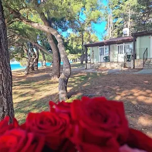 https://family-bungalow-pineta.in-istria.net